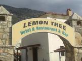Image of Lemon Tree Hotel