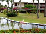 Image of Sirenis Cocotal Beach Resort Hotel
