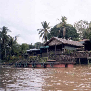 Image of Wildlife Sukau River Lodge Hotel